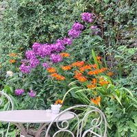  at Lucy's Tearoom  in Stow-on-the-wold