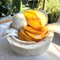 Coconut, Mango, and Thai Tea w Mango, No Condense Milk  at Coco Bomb in San Diego