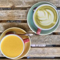   at Harvest  in Berlin