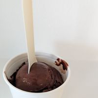 chocolate at IJssalon Garrone Gelateria in Haarlem