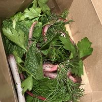   at Mishmish Souq in Oakland