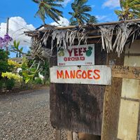 Yees orchard at Yee's Orchard & Fruit Stand in Kihei