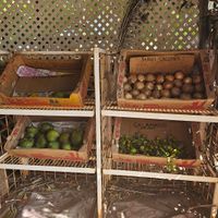 Maui onions, galamansi at Yee's Orchard & Fruit Stand in Kihei