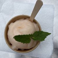 Cantaloupe sorbet  at Superior Creamery in Grand Marais