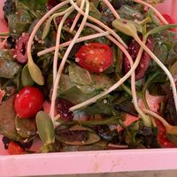 Greek pizza  at Ionie Organic Cafe in Sarasota