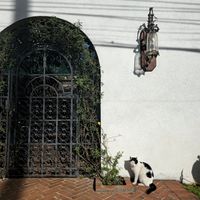  at beit é selam in Nairobi