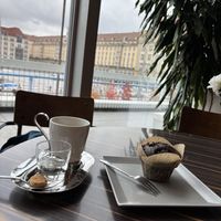 Perfect sized coffee and muffinn  at Tutti – Café und Bistro in Dresden