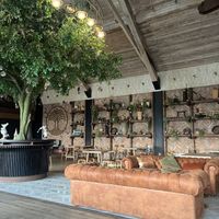   at DOR Restaurant D.O.R. in Brasov