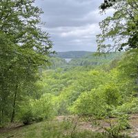   at Potęgówka wege Kaszuby in Linia