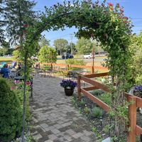 You walk through beautiful gardens to reach the outdoor seating area  at Vine and Fig in Rome