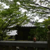  at Rokaku Tea House - Hexagon Cafe  in Miyajima