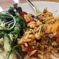 risotto & salad at Beetroot in Frankfurt