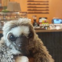  at Morgentau. in Barcelona