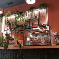  at Morgentau. in Barcelona