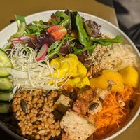  at Morgentau. in Barcelona