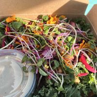 Ceasar salad  at Garden Party in Rockledge