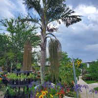  at Garden Party in Rockledge