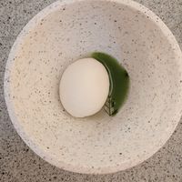 lemon sorbet  at Legume Seoul in Seoul