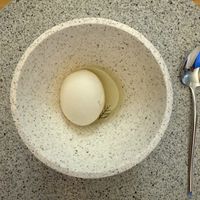   at Legume Seoul in Seoul