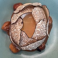   at Legume Seoul in Seoul