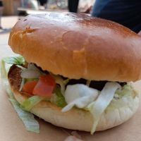 Vegan burger at Mañana Restaurant in Gwynedd