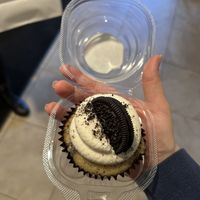   at Cool Cat Cupcakes in Fredericksburg