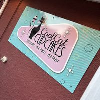   at Cool Cat Cupcakes in Fredericksburg