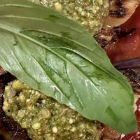 Roasted Aubergine   at Tutto  in Brighton