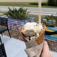   at Vegan Scoops in Orlando