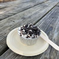   at Vegan Scoops in Orlando