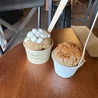   at Vegan Scoops in Orlando