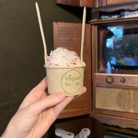   at Vegan Scoops in Orlando