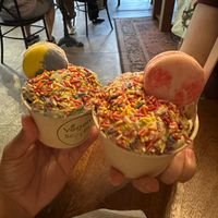   at Vegan Scoops in Orlando