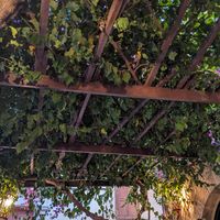  at Hamam Cafe in Rhodes