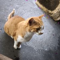  at Hamam Cafe in Rhodes