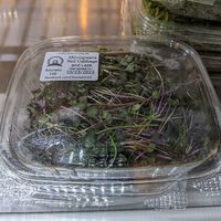  at Sia's in Pittsburgh