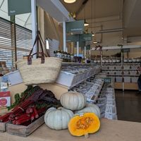 fresh produce at GoodFor Wholefoods Refillery in Christchurch
