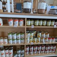  at GoodFor Wholefoods Refillery in Christchurch