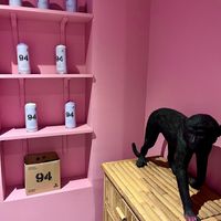 Interiors at Vegan Junk Food Bar -  L'Eixample in Barcelona