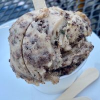 Vegan Gelato  at Pizzicletta - Pheonix in Flagstaff