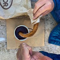   at Chocolatería Valor in Valencia