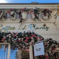  at Coffee and Plants  in Los Angeles