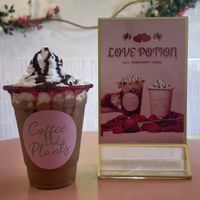Seasonal drink!  at Coffee and Plants  in Los Angeles