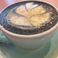   at Coffee and Plants  in Los Angeles