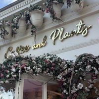   at Coffee and Plants  in Los Angeles