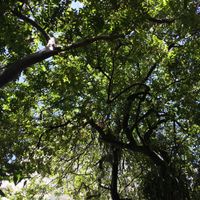 Área interna  at Simples e Natural in Florianopolis