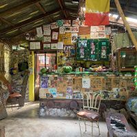   at Just Natural - Hylton Ave in Negril