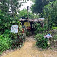   at Just Natural - Hylton Ave in Negril