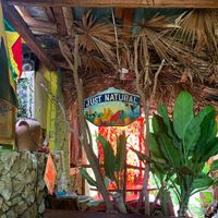   at Just Natural - Hylton Ave in Negril