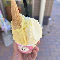   at Gelateria Ammirato - 鳥取の恵みジェラート わったいな in Tottori